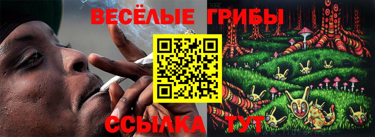 Псилоцибиновые грибы мицелий  Вход с VPN  Кудрово  Псилоцибиновые грибы MAGIC MUSHROOMS 