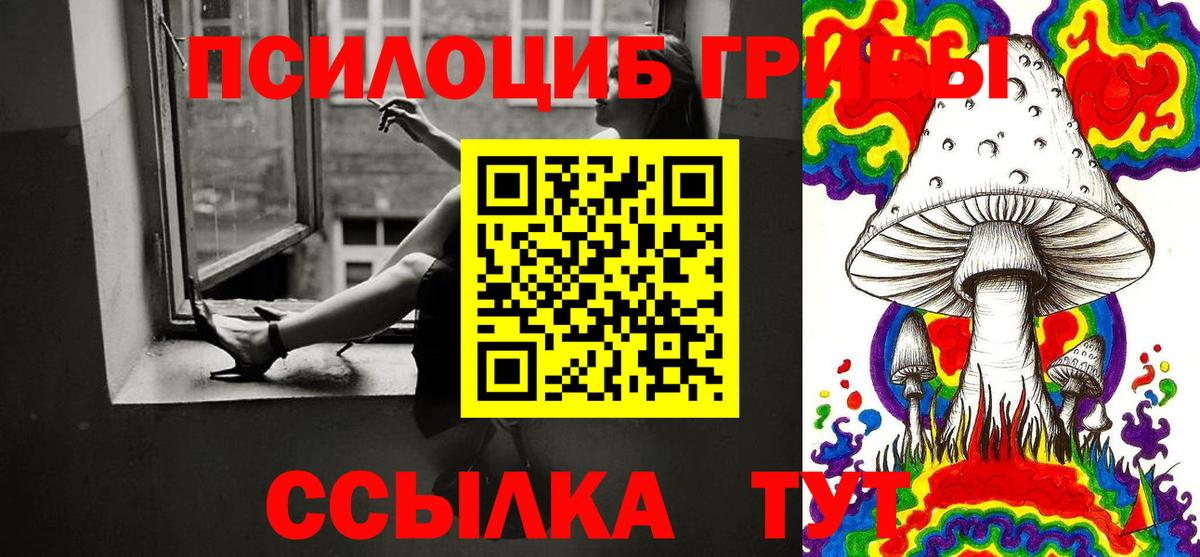 Псилоцибиновые грибы MAGIC MUSHROOMS Кудрово